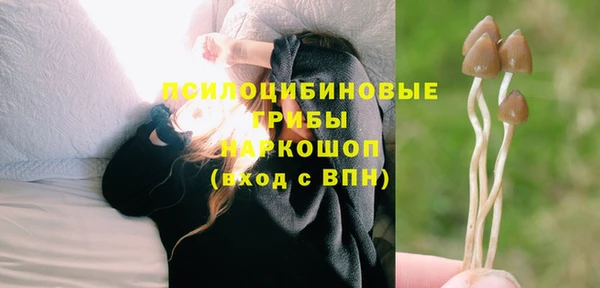 бутират Аркадак